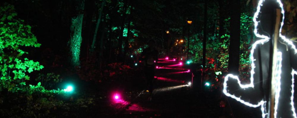 5. Paderborner Martinslauf in historischer Umgebung