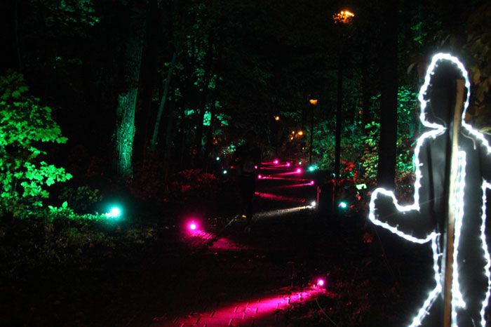 Nur noch wenige Restplätze beim Paderborner Martinslauf